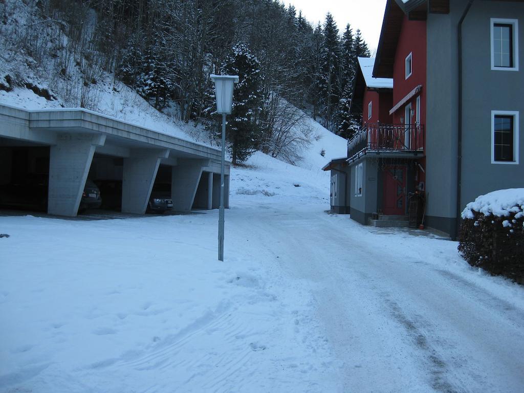 Haus Birnbacher Muhlbach Am Hochkonig Exterior photo